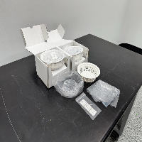 Novex StainEase Gel Staining Tray image 0